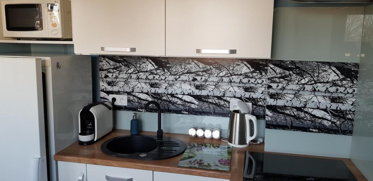 Apartament Centrum Çestohova Dış mekan fotoğraf